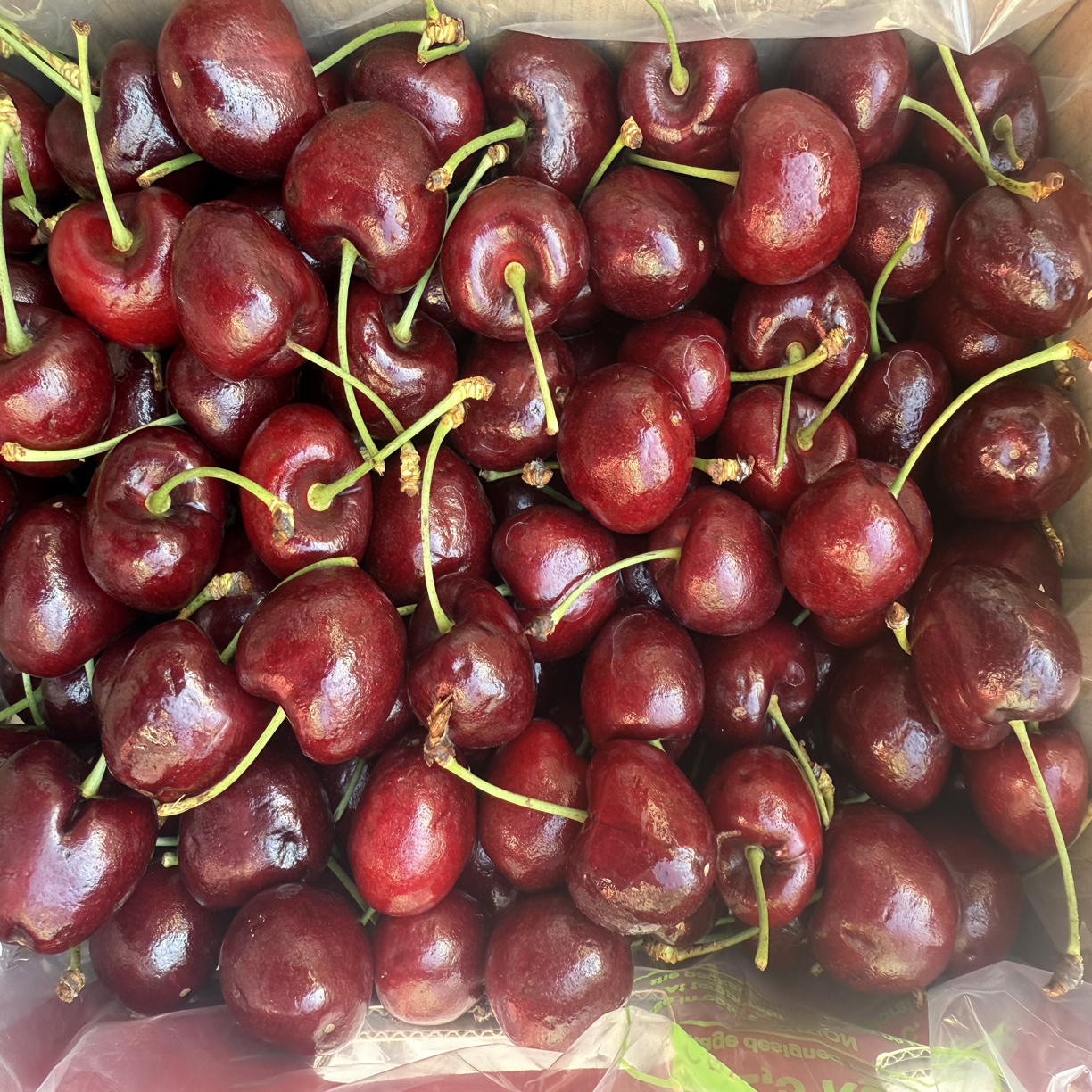 空运智利桑提娜车厘子1斤23.8元xLllj智利