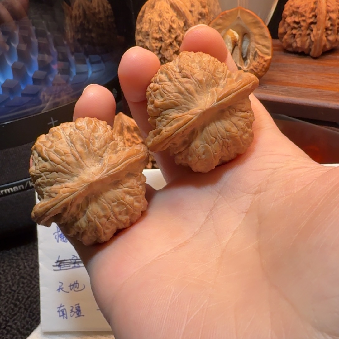 核桃41+全品血麒麟