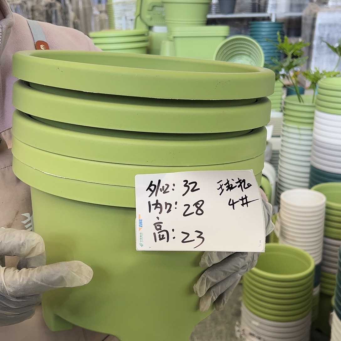 球根盆4#果绿色5个无托