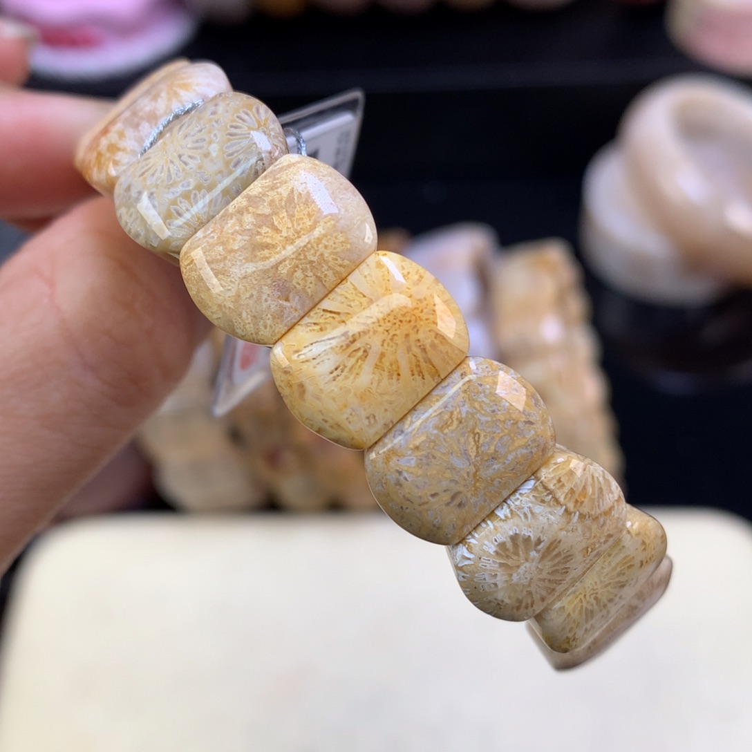 硅化珊瑚（珊瑚玉）未镶嵌吊坠(赠链)五折手排（15号）