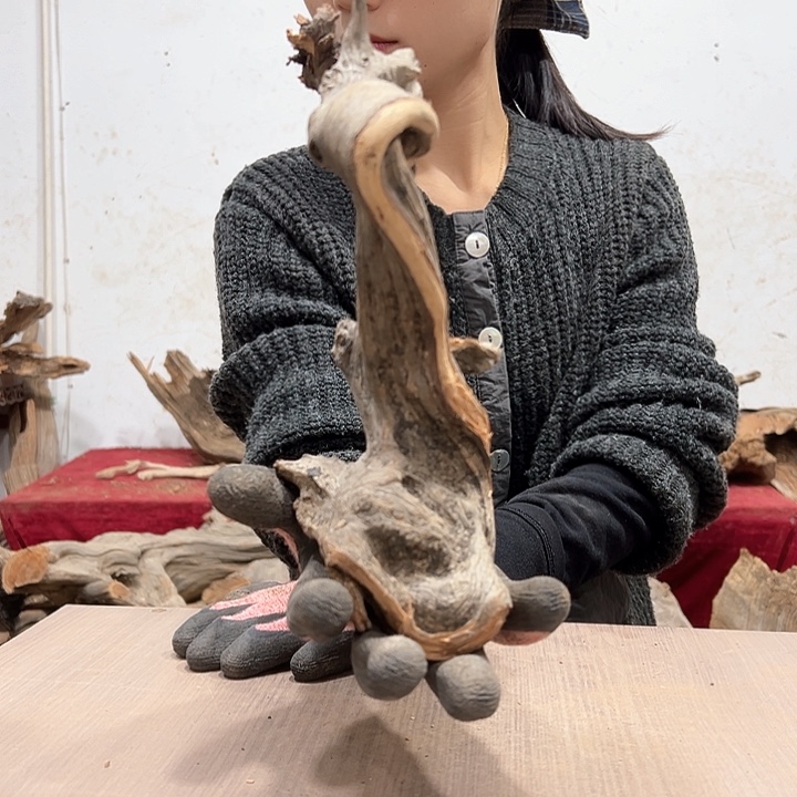 柏木柏****！我们都是好孩子