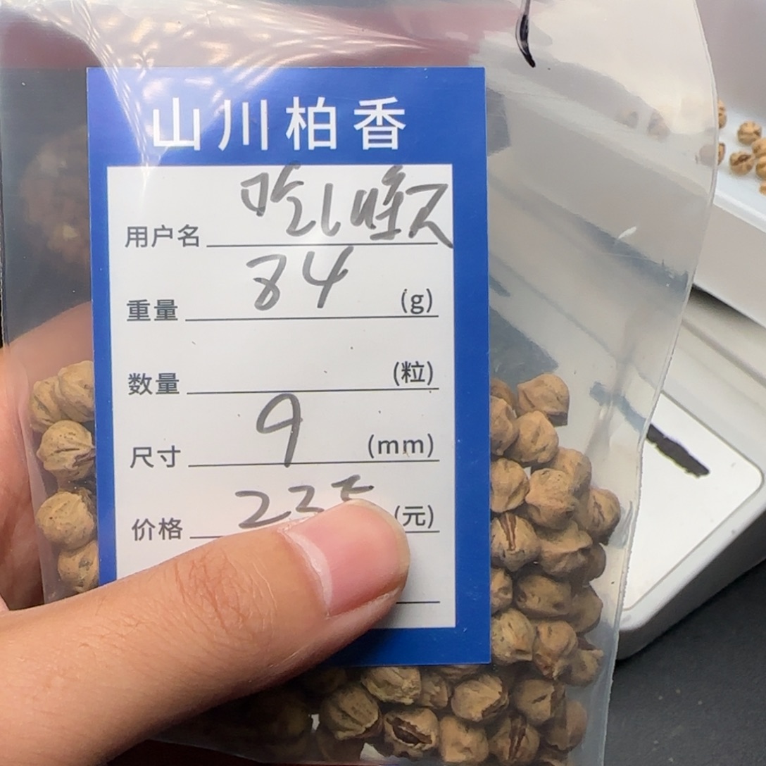 吃***不吊坠柏香籽/百香籽