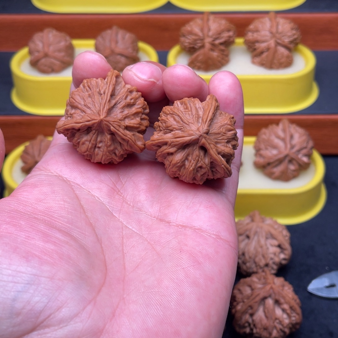 三***哥核桃手串/手链野生三棱