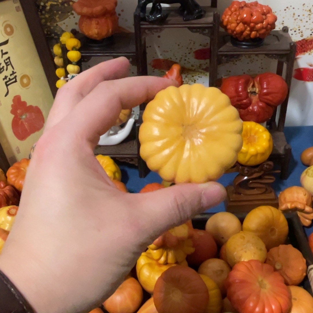 响籽黄花777777777777