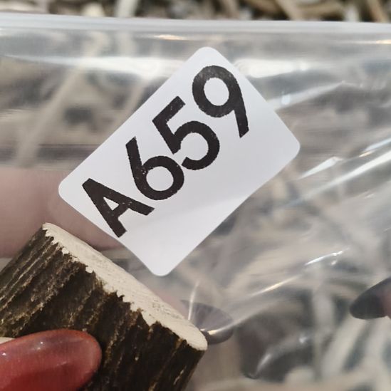 一***卄鹿角鹿角鹿角鹿角鹿角