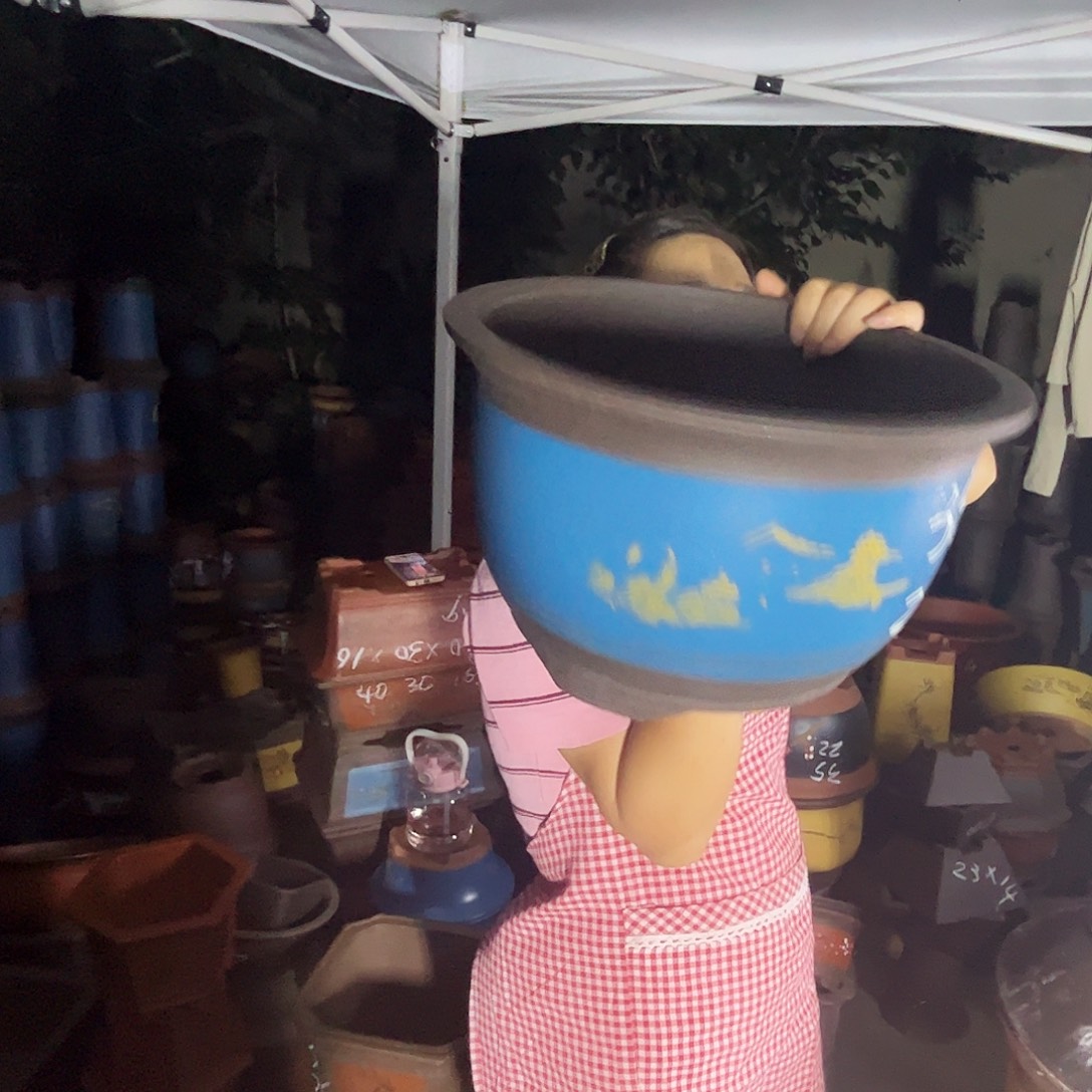 30蓝山花盆花盆花盆花盆