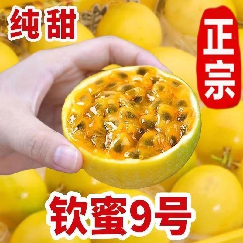 Y【黄金百香果】海南钦蜜9号百香果应季新鲜采摘香甜多汁