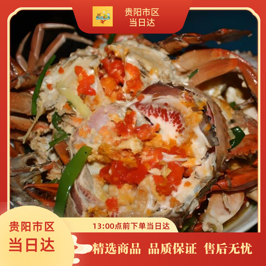 【蟹类】湛江红膏蟹（红鲟）非越南蟹 包活到家