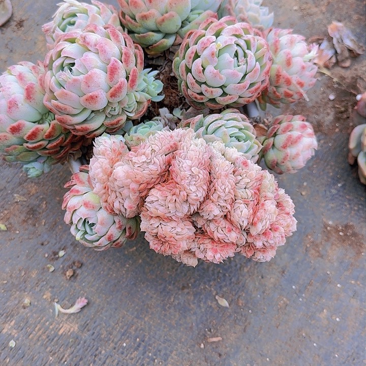 在哪里都不安全吗这不是