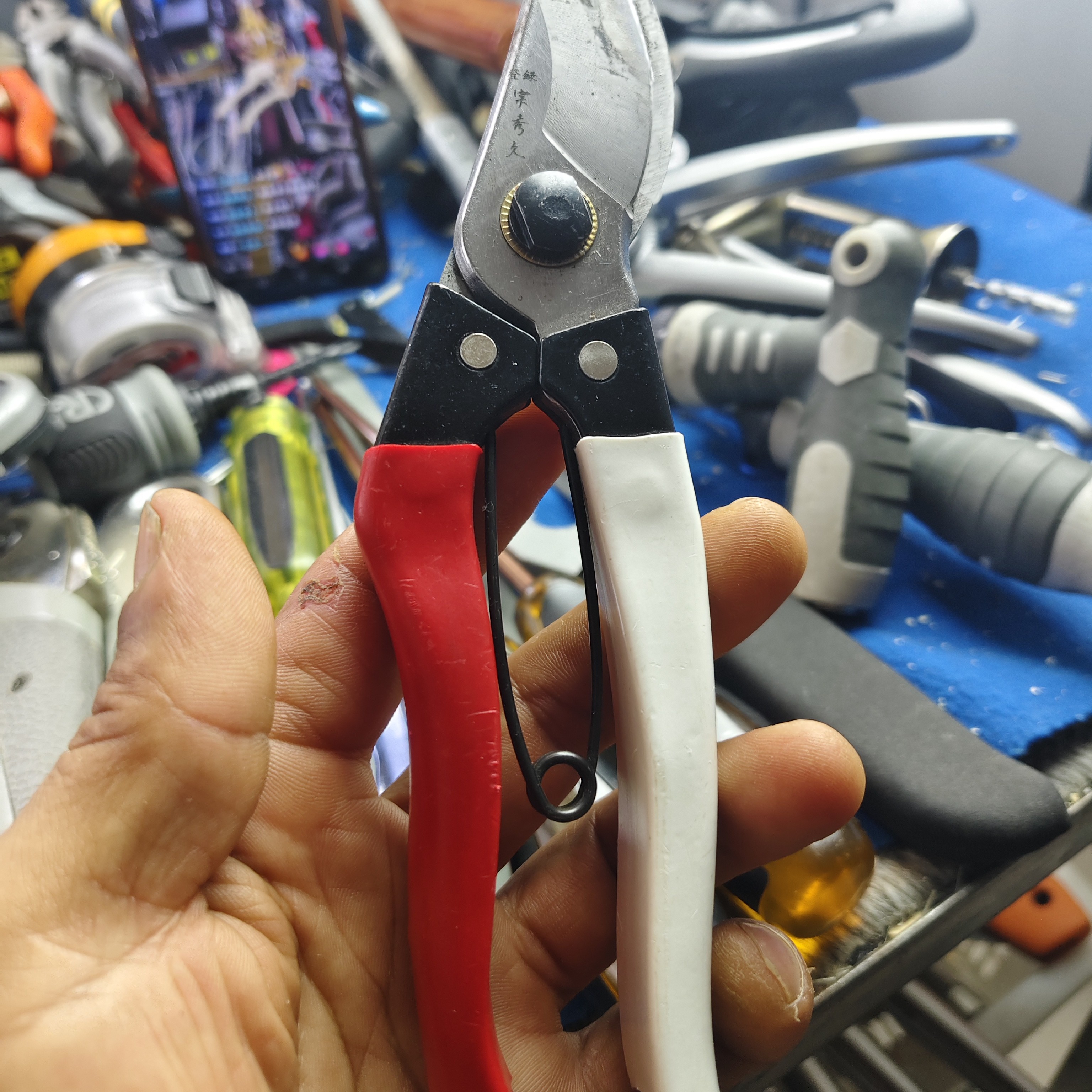 园艺果树修枝剪粗枝花卉枝剪子园林工具修剪利器