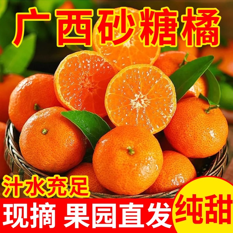 【顺丰次日达】正宗广西砂糖橘新鲜桔子带叶薄皮砂糖橘应季水果