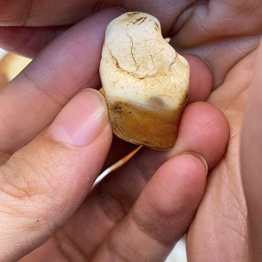 定制琥珀未镶嵌原石