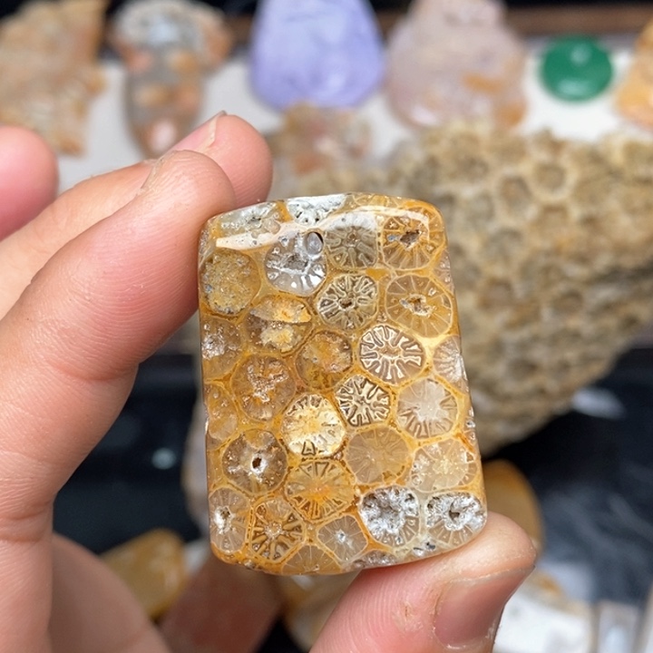 硅化珊瑚（珊瑚玉）手镯未镶嵌