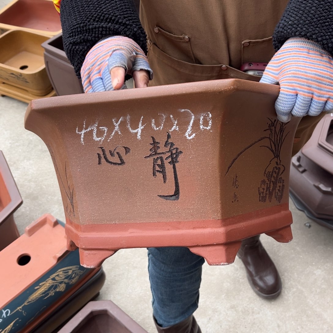 紫砂花盆盆景艺术