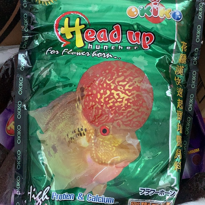 罗汉鱼增头料1斤888