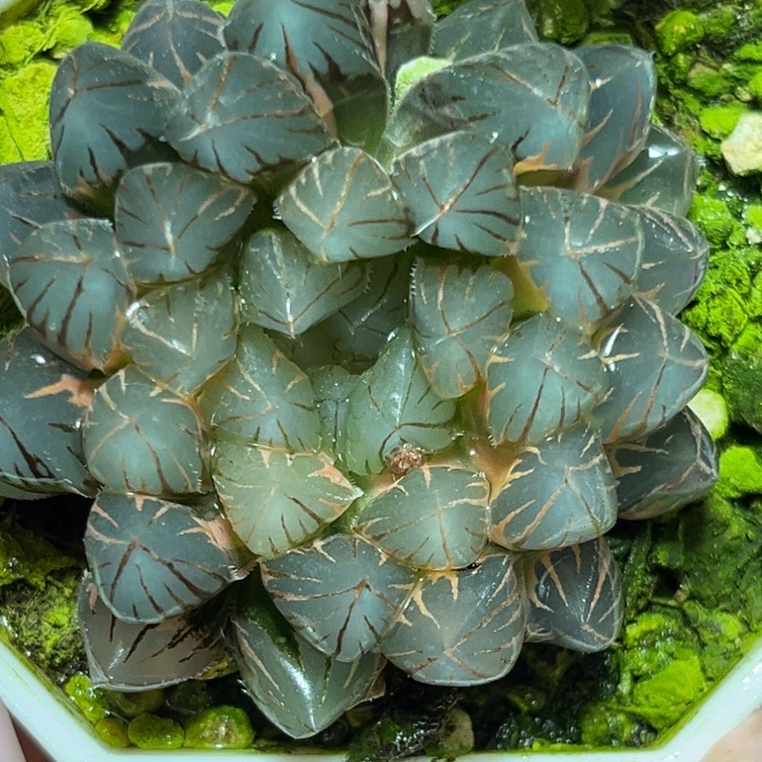 恭喜发财大吉大利0125