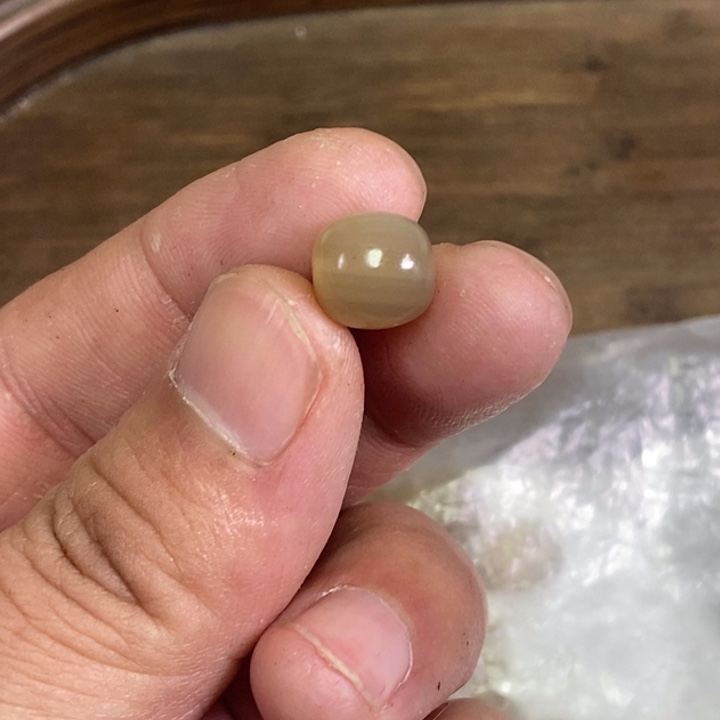 手串/手链驼骨篇号28发十个