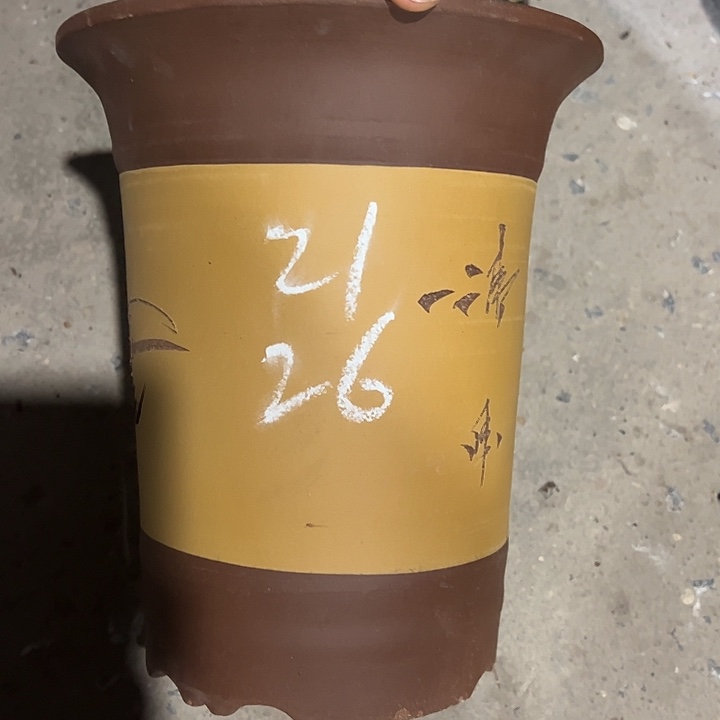 紫砂工艺厂……紫砂工艺厂、
