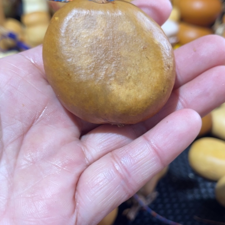 一***鱼葫芦葫哈哈哈哈哈哈哈哈