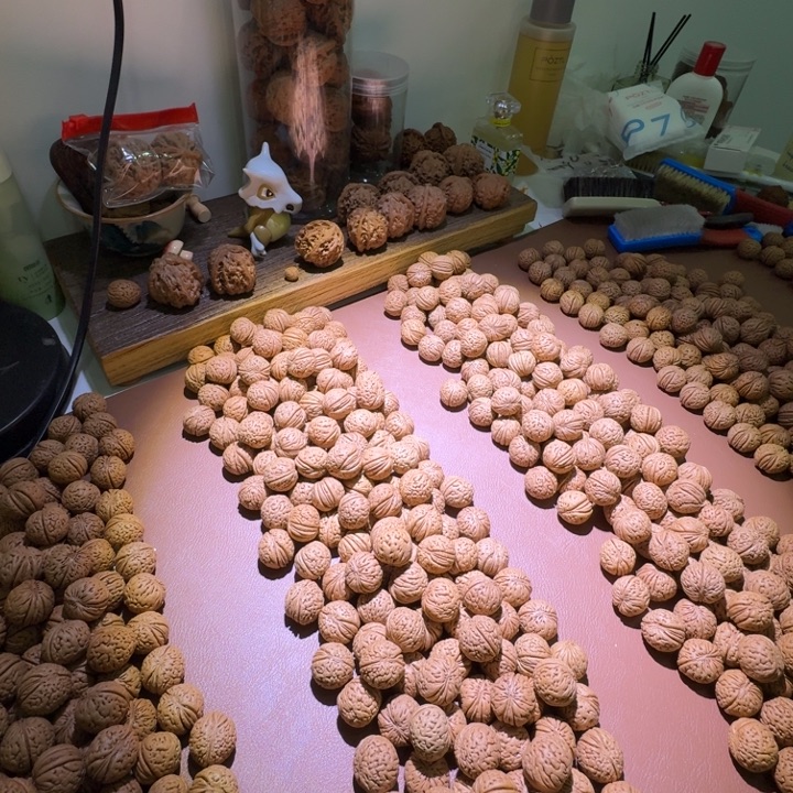 磨盘桃核链接勿拍