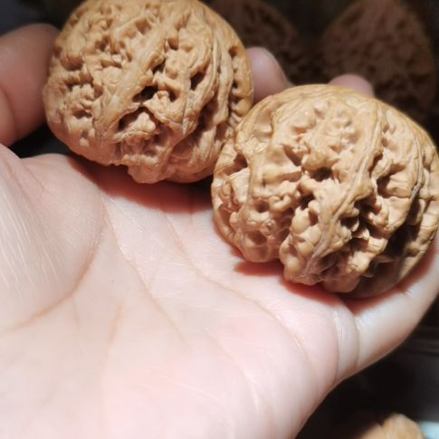 猴头核桃吊坠44粗筋