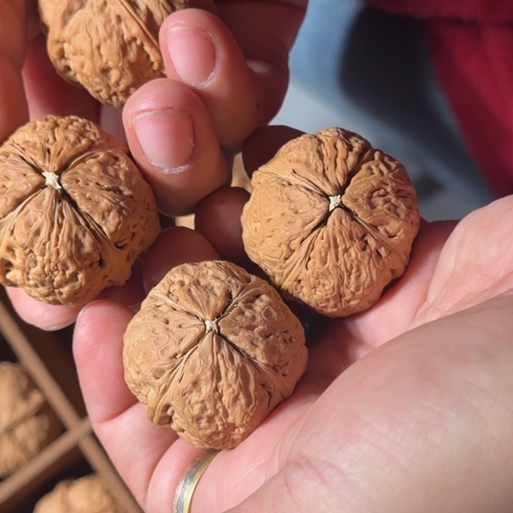 文玩核桃把件铁90龙鳞纹四棱