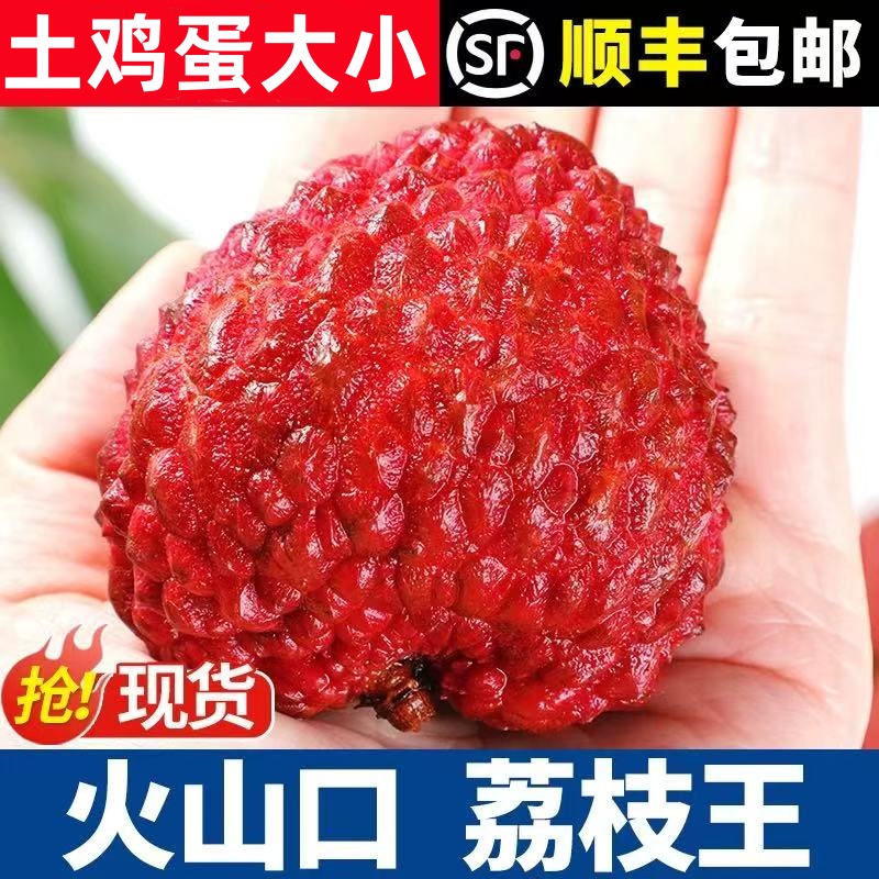 【陈书记专属】海南火山口荔枝王1-4.5斤当季新鲜多仓发货顺丰冷链