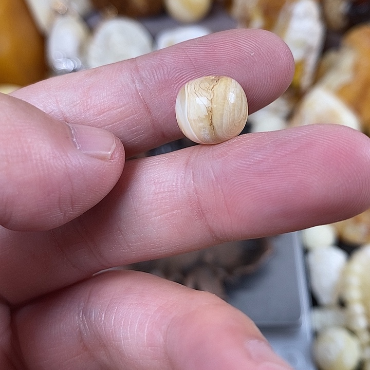 未镶嵌琥珀裸石我