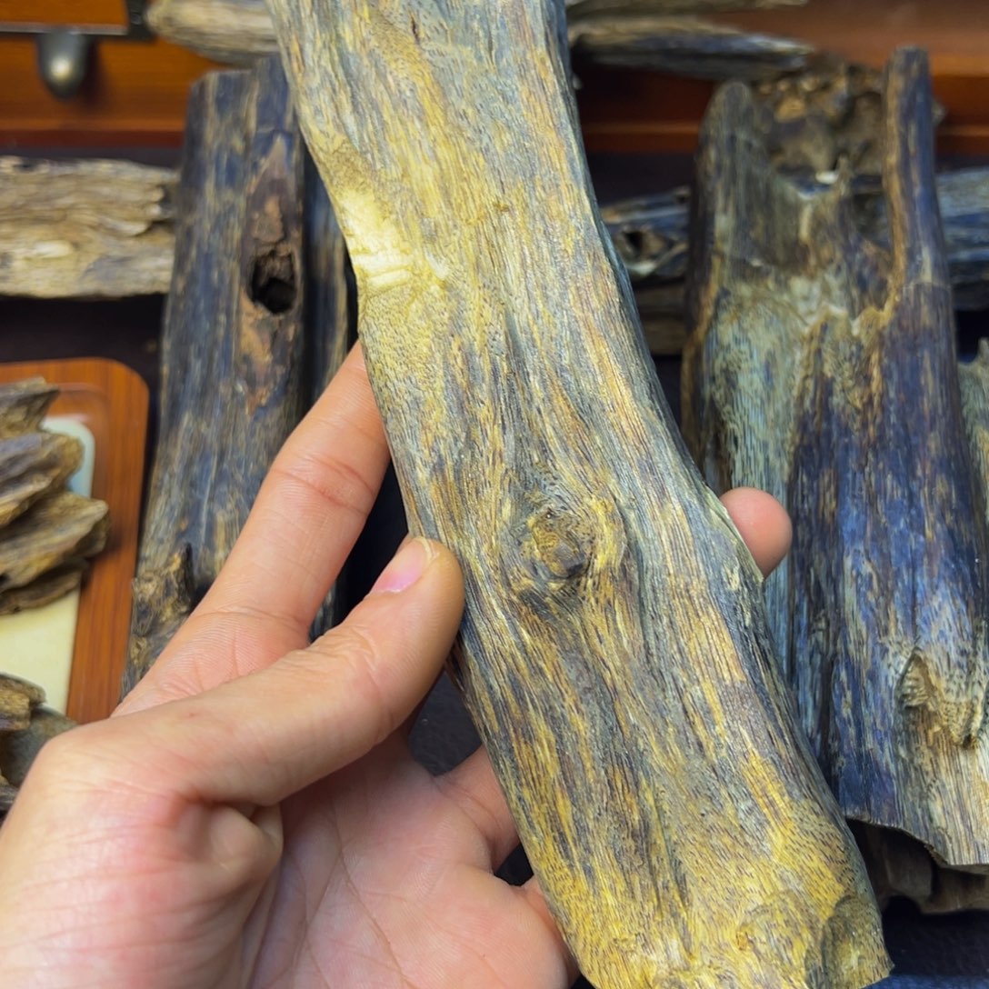 美***月沉香沉香碎屑金沙叶