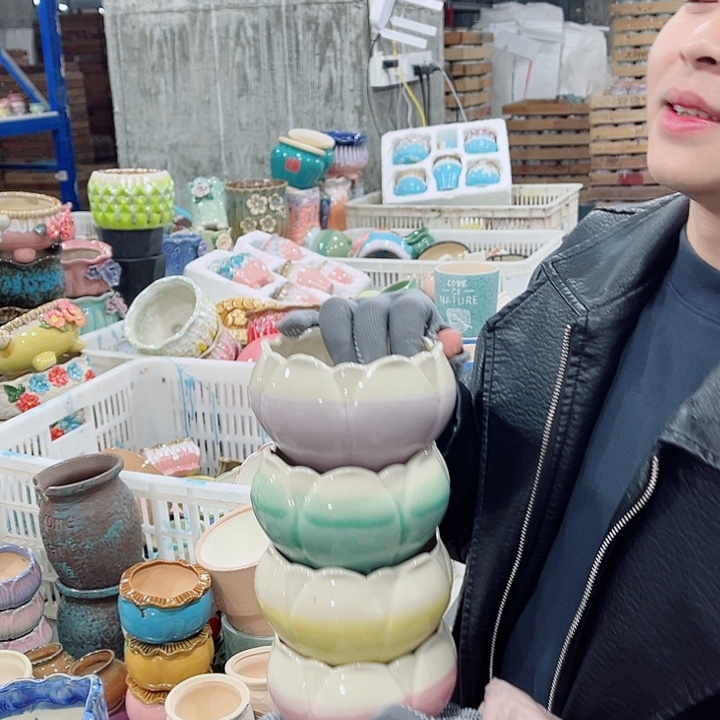 陶瓷正品数量有限