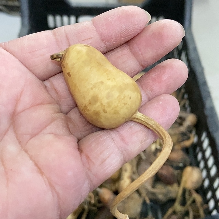 在****—shk dk ddj s n k d d k