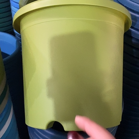 树脂四季5号果绿无托10个微瑕