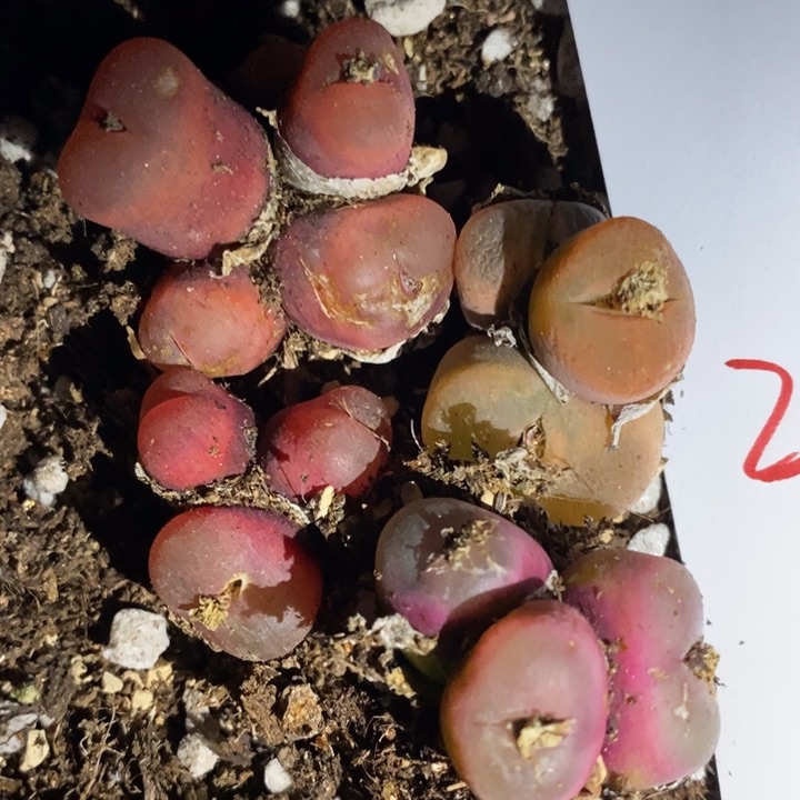 29272一组一组一组