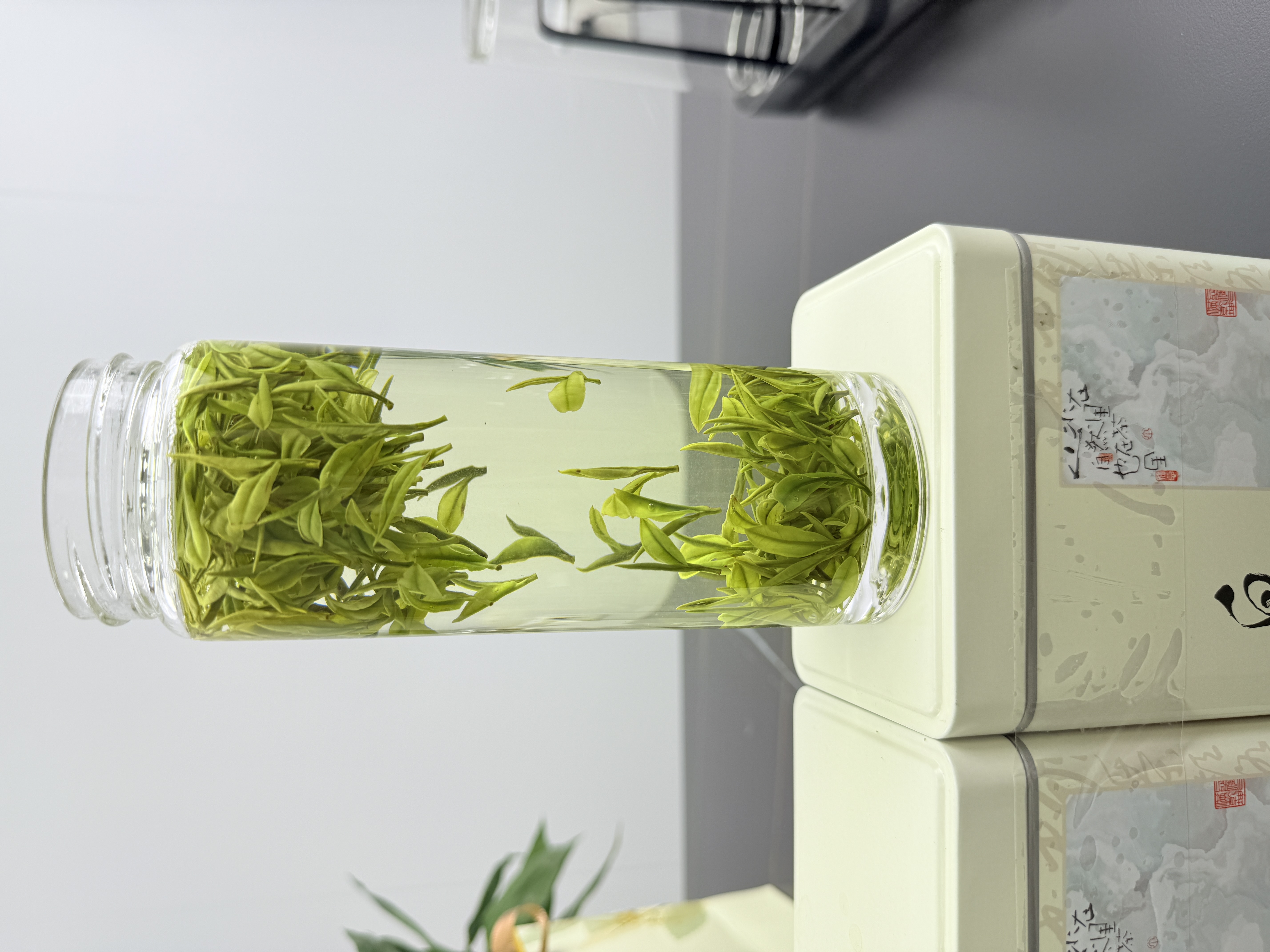 【2025高山兰香A68】安吉原产地高山茶头春头采安吉原产地白茶