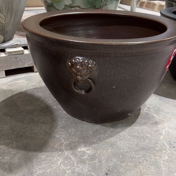 木***木瓷片50古铜狮子头