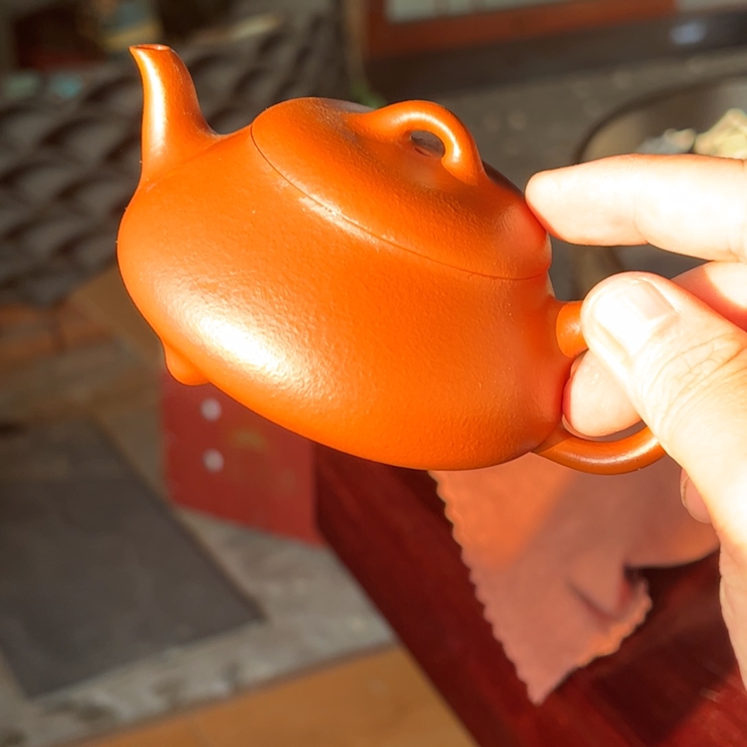 ………………………………………………………………