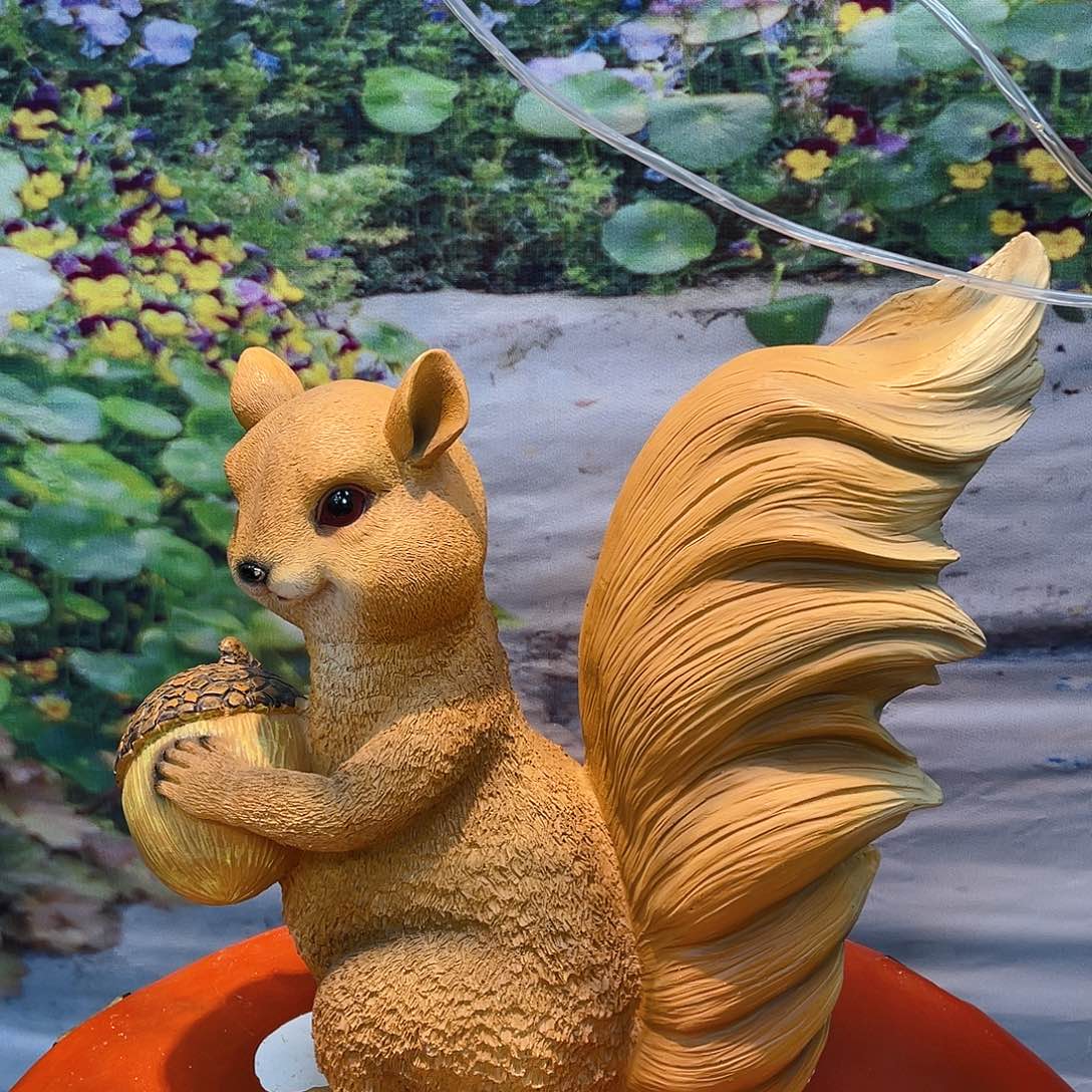 【闪购商品】红陶