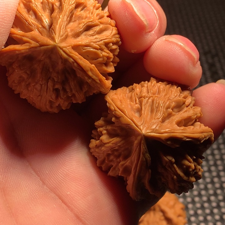 文玩核桃吊坠39御龙粗筋三棱