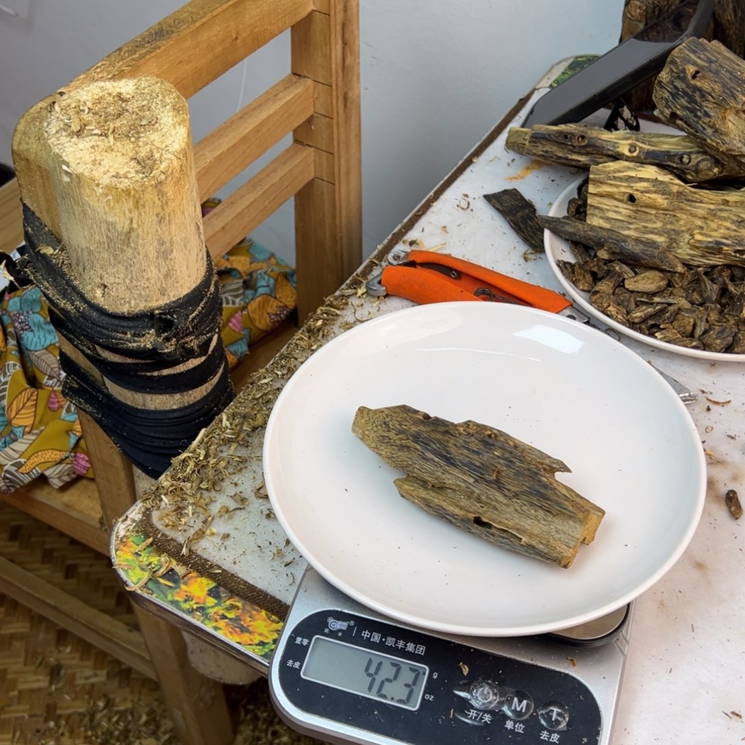 线香奇楠虫漏香42克