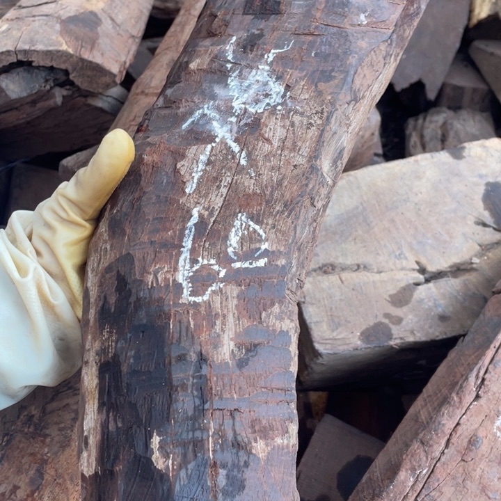 交趾黄檀（大红酸枝）树*