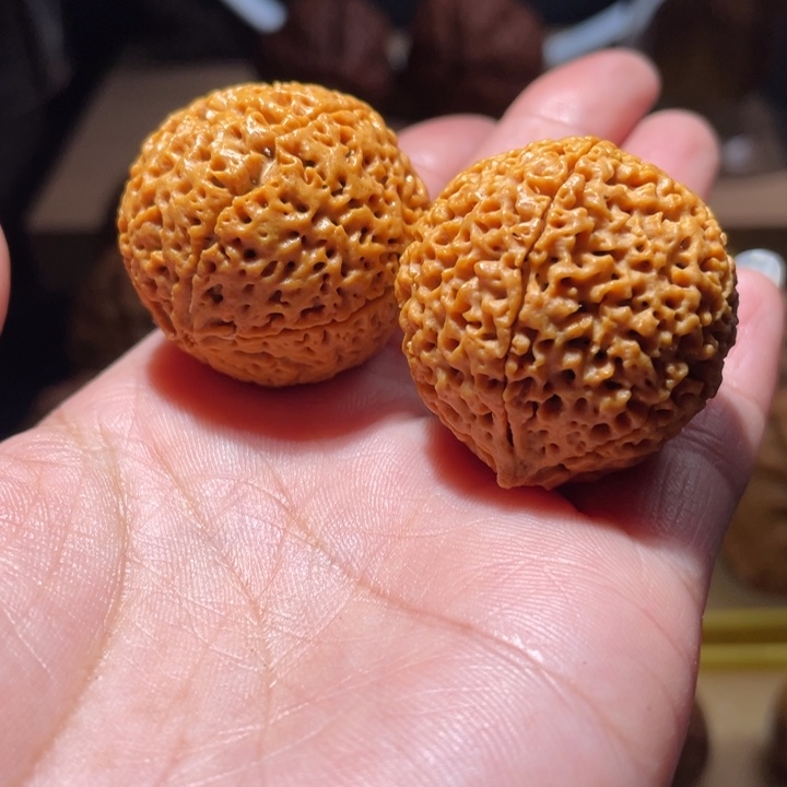 桃核把件五瓣金刚菩提断齿