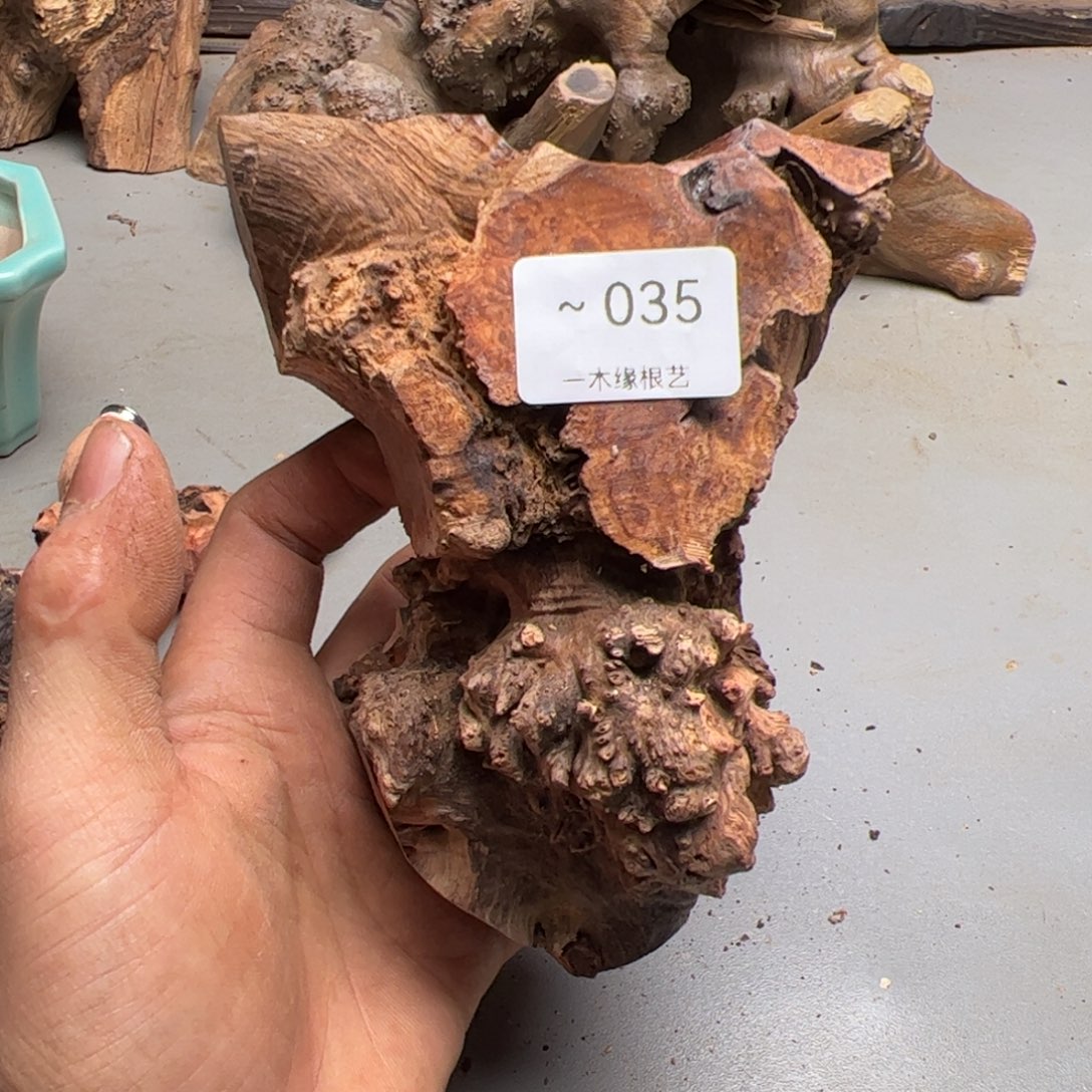 无花朵          35