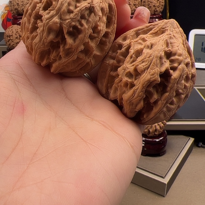 文玩核桃把件43 大 沽石 b-029