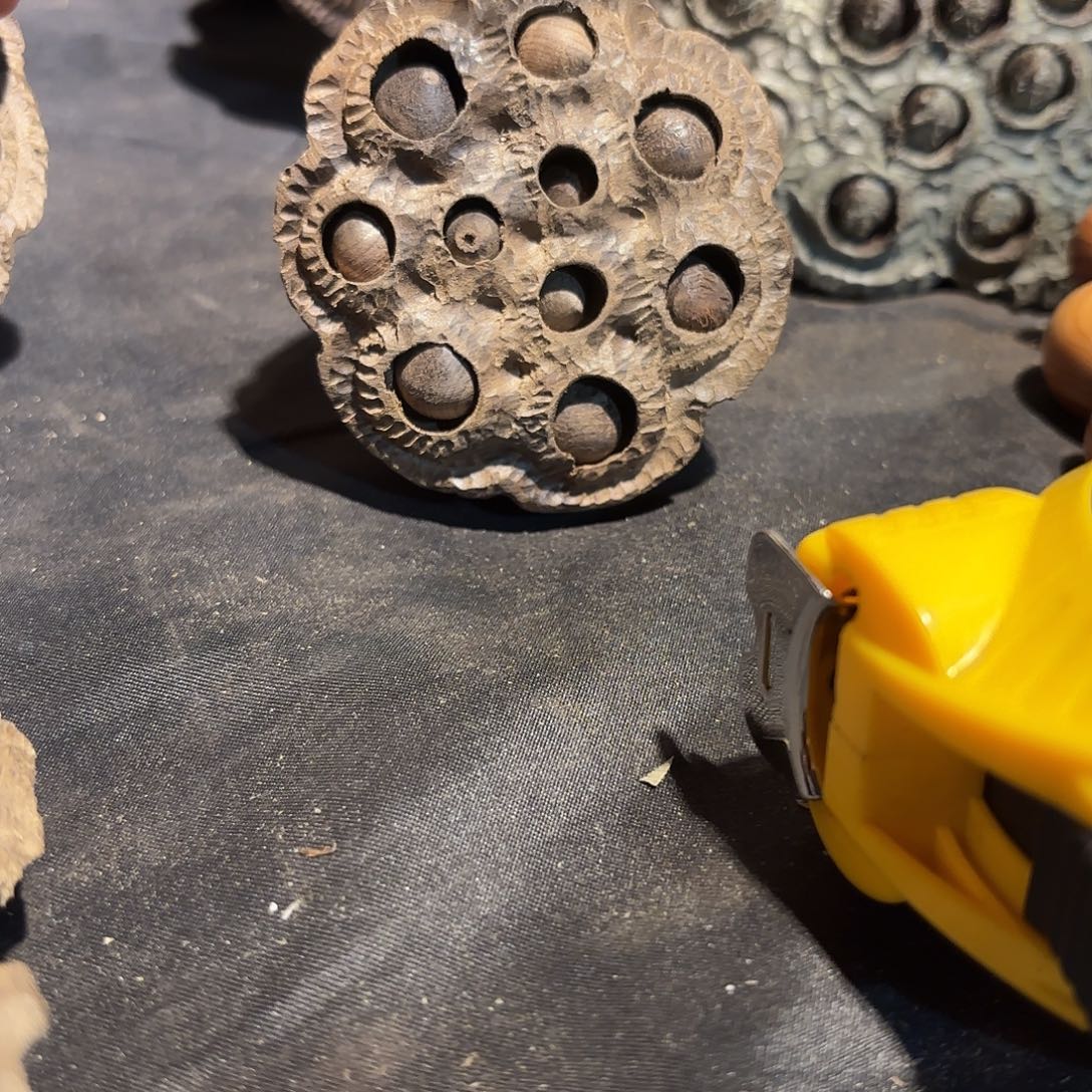 从***发金丝楠金丝楠木莲蓬