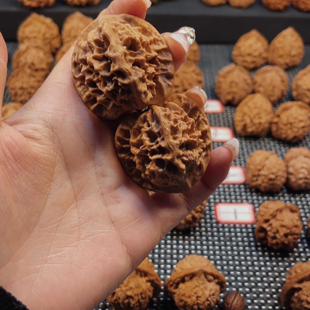 逝**痕秦岭神树学文太多