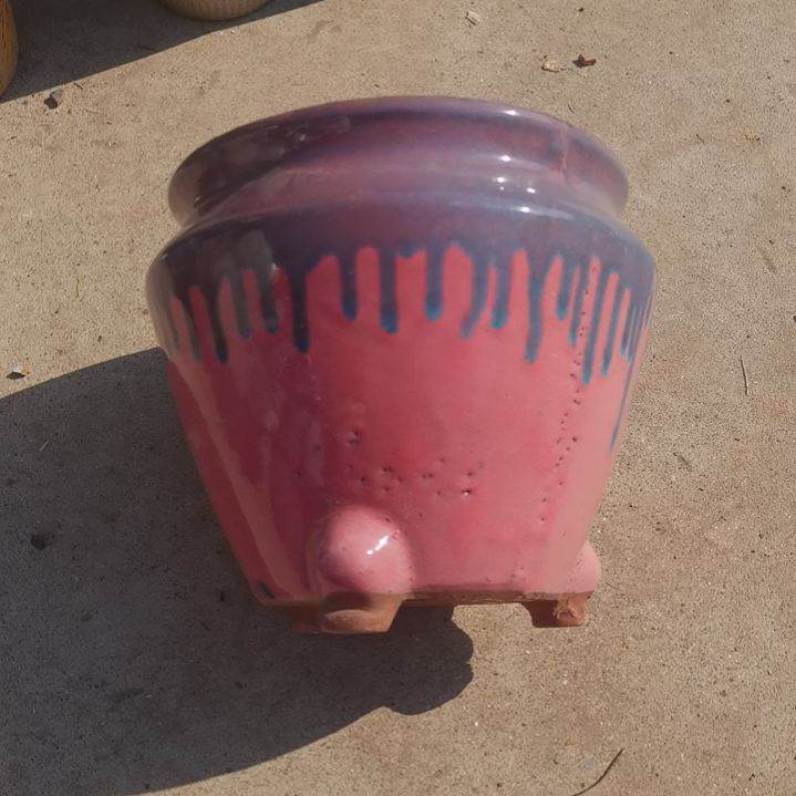 红陶20/20瑕疵一个