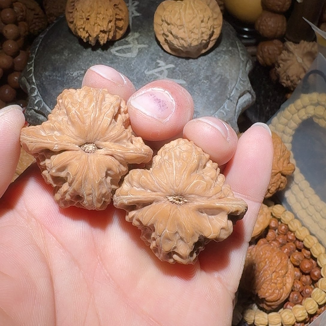 戮***墨核桃极限白蛇谷全品