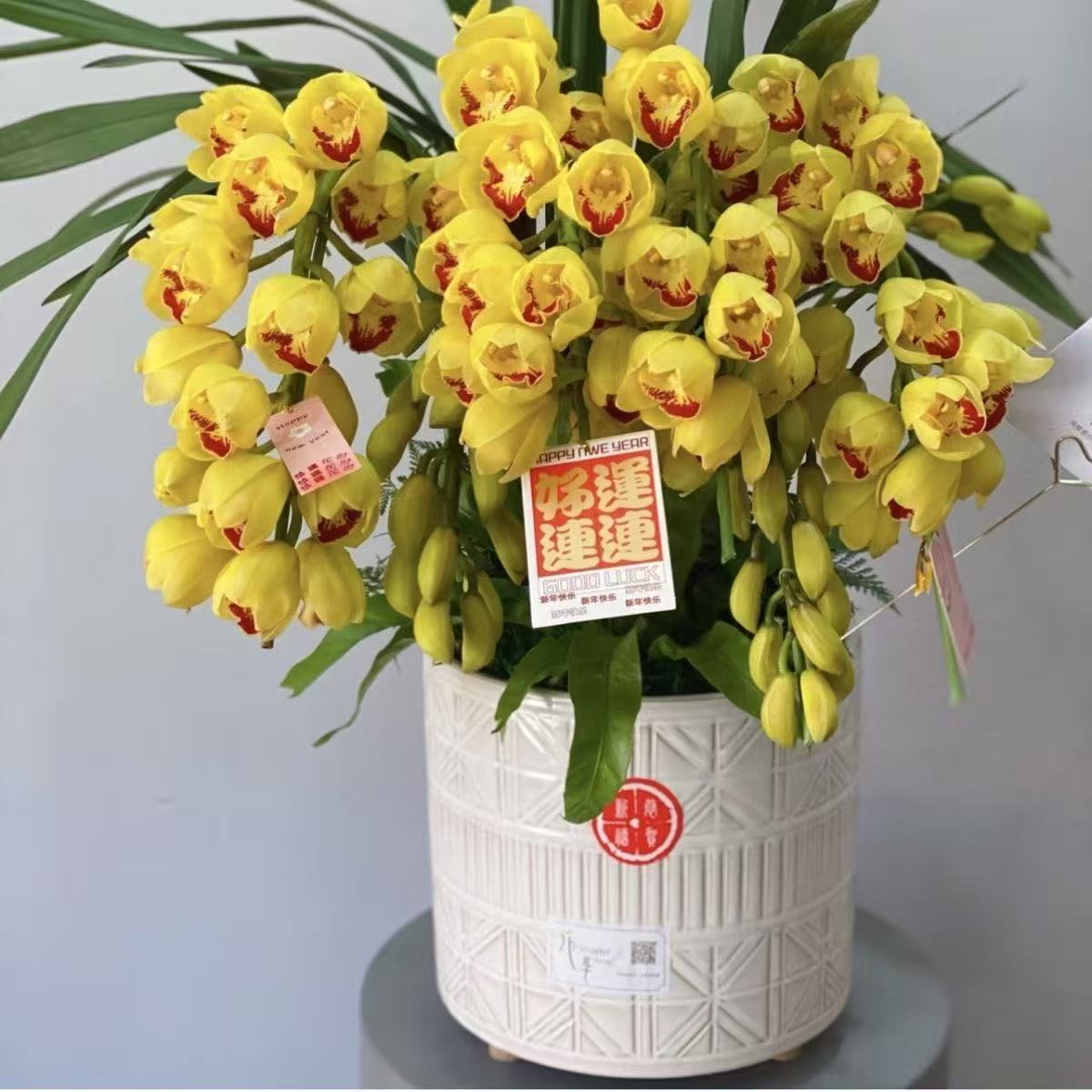 带花苞香水香兰年宵花大花蕙兰黄金岁月高档室内客厅花卉绿植盆栽