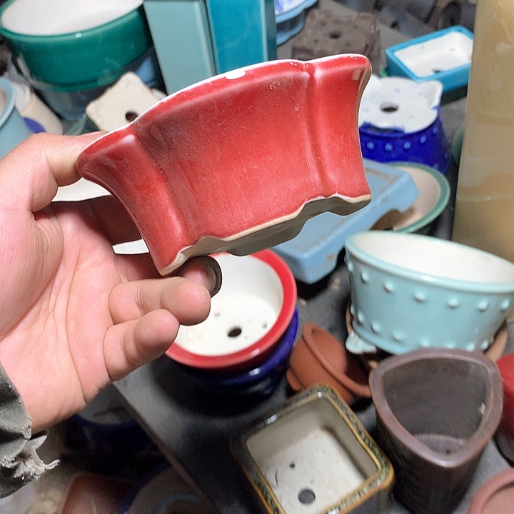 紫砂你要的是我不需要