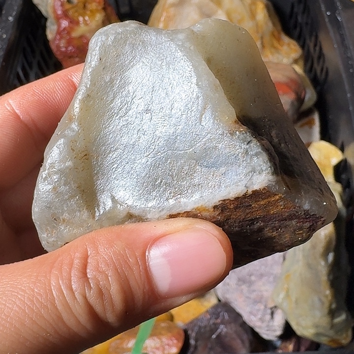 东***学寿山石寿山石的种类